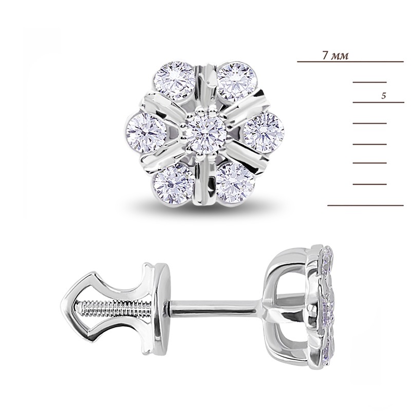 25094_size